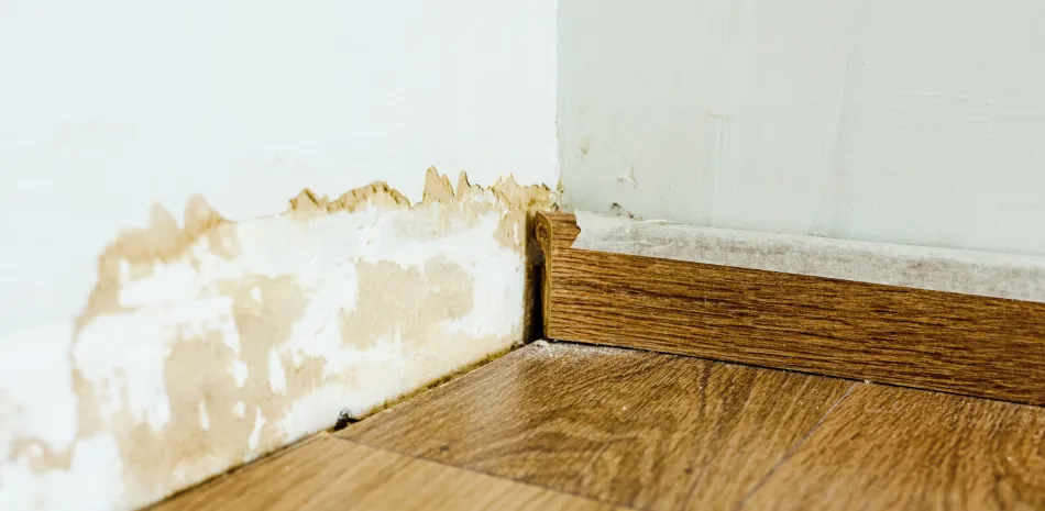 Water Damage Restoration