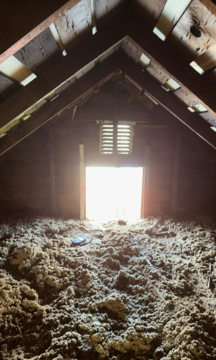 Water Damage Restoration in Mount Albia, IA – Fast Local Service