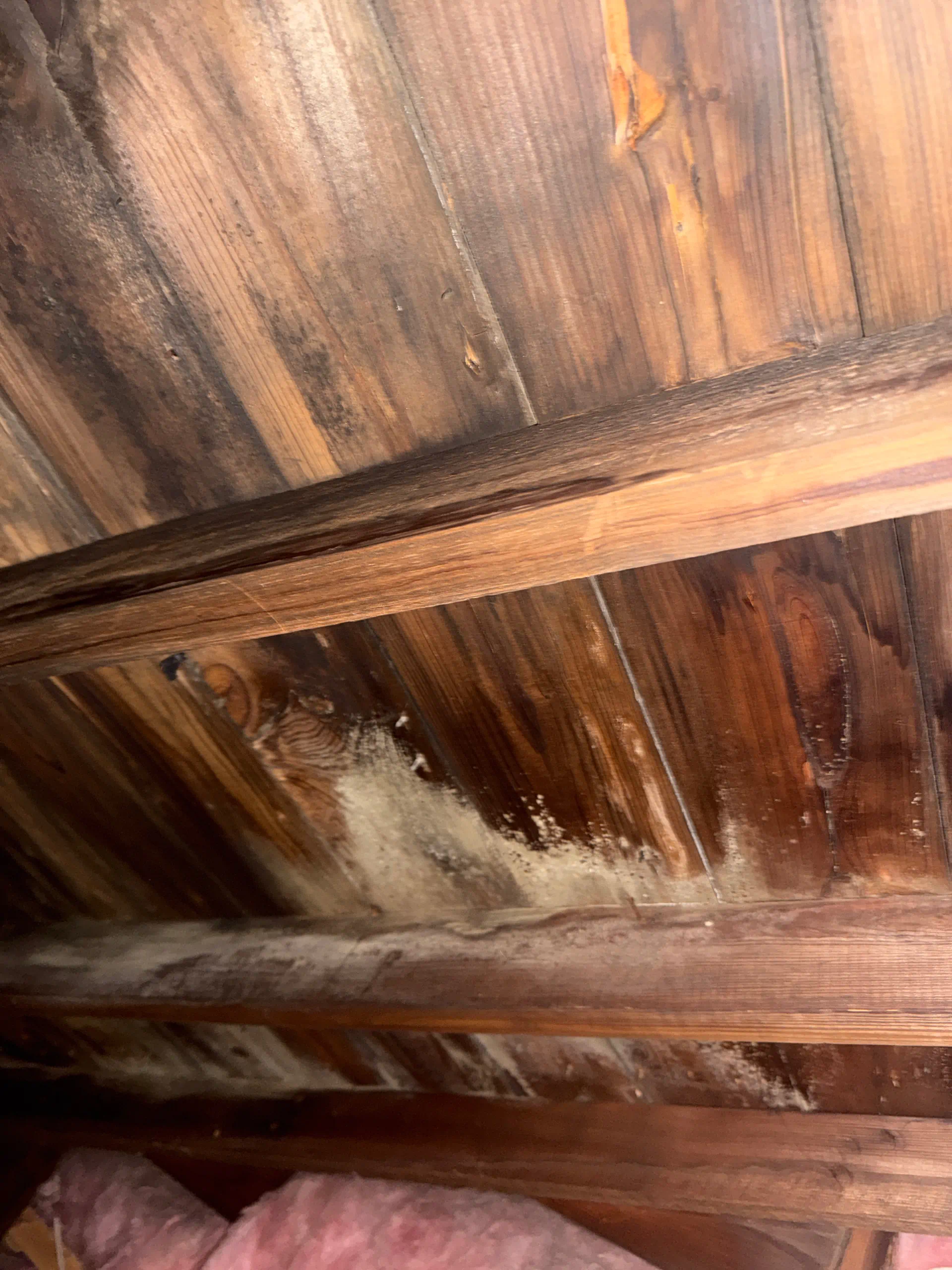 Water Damage Restoration in Washington, IA – Immediate Response